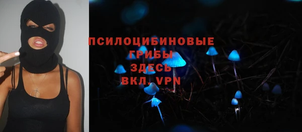 крисы Куйбышев