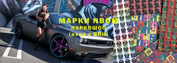 крисы Куйбышев
