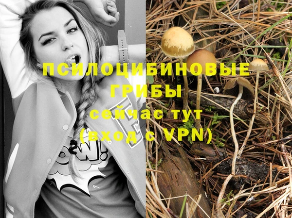 стафф Кукмор