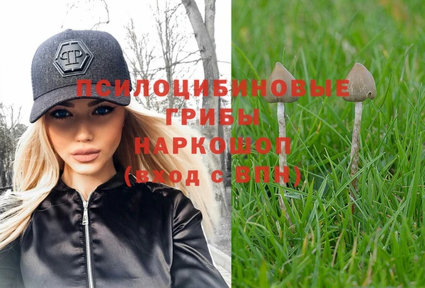 крисы Куйбышев