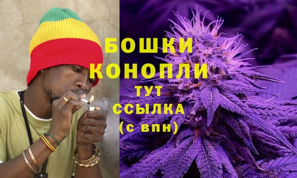 крисы Куйбышев