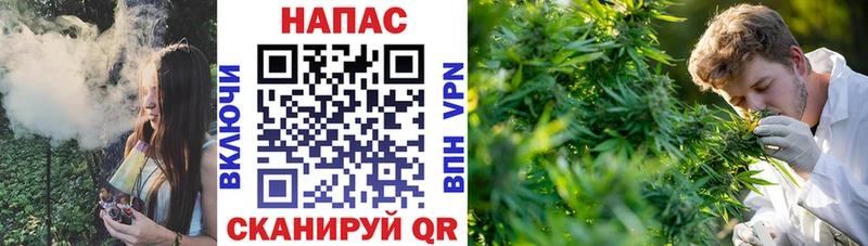 Купить закладки  Михайловск  Канабис семена 